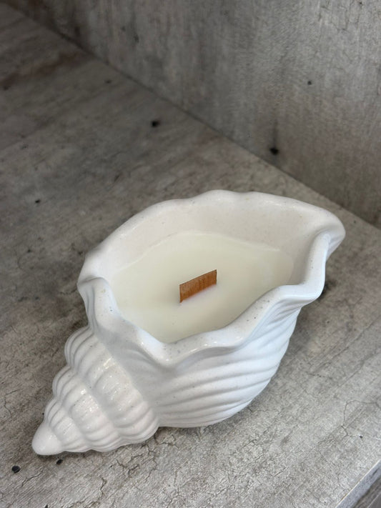 Conch Candle