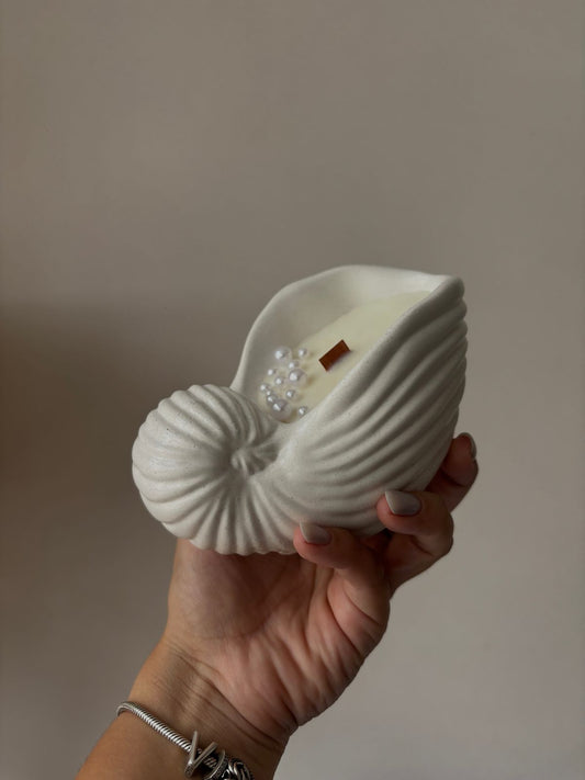 Sea Shell 00 Candle